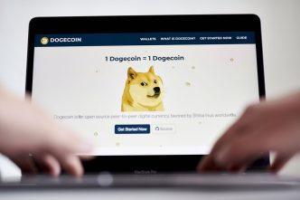 Crypto Hedge Funds Lured by Returns of Memecoins, Like Dogwifhat (WIF)