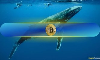 Bitcoin Whales Scoop Up 94.7K BTC in Just 6 Week