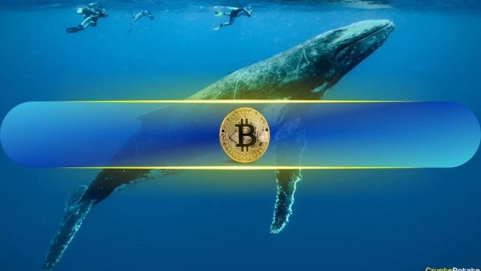 Bitcoin Whales Scoop Up 94.7K BTC in Just 6 Week