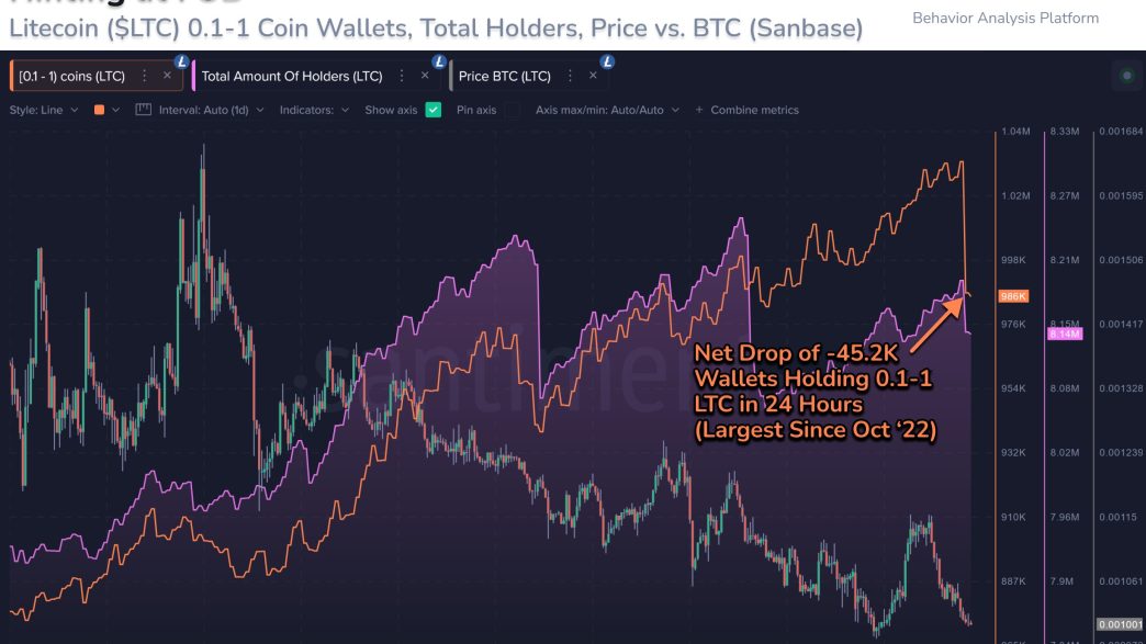 Litecoin Total Amount of Holders