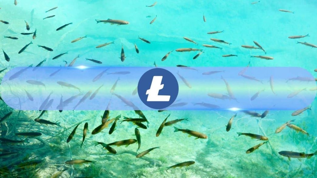 Small Litecoin (LTC) Fishes Are 'Jumping Ship,' Here's What it Means