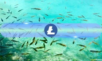 Small Litecoin (LTC) Fishes Are 'Jumping Ship,' Here's What it Means