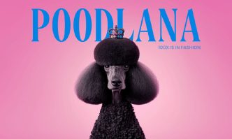 Poodles: A New Meme Coin Mascot. Poodlana Prepares for Listing in 2 Days