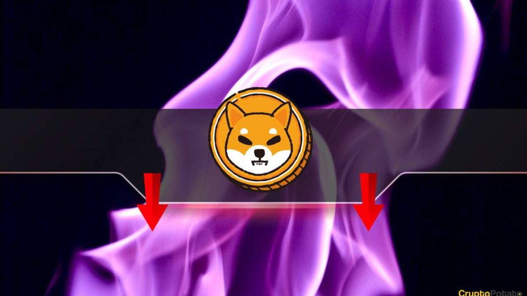 Is the SHIB Price in Danger?