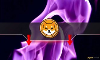 Is the SHIB Price in Danger?