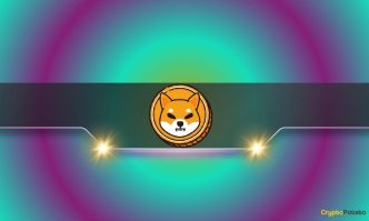 Important Shiba Inu Indicators Head North: SHIB Price Recovery Incoming?