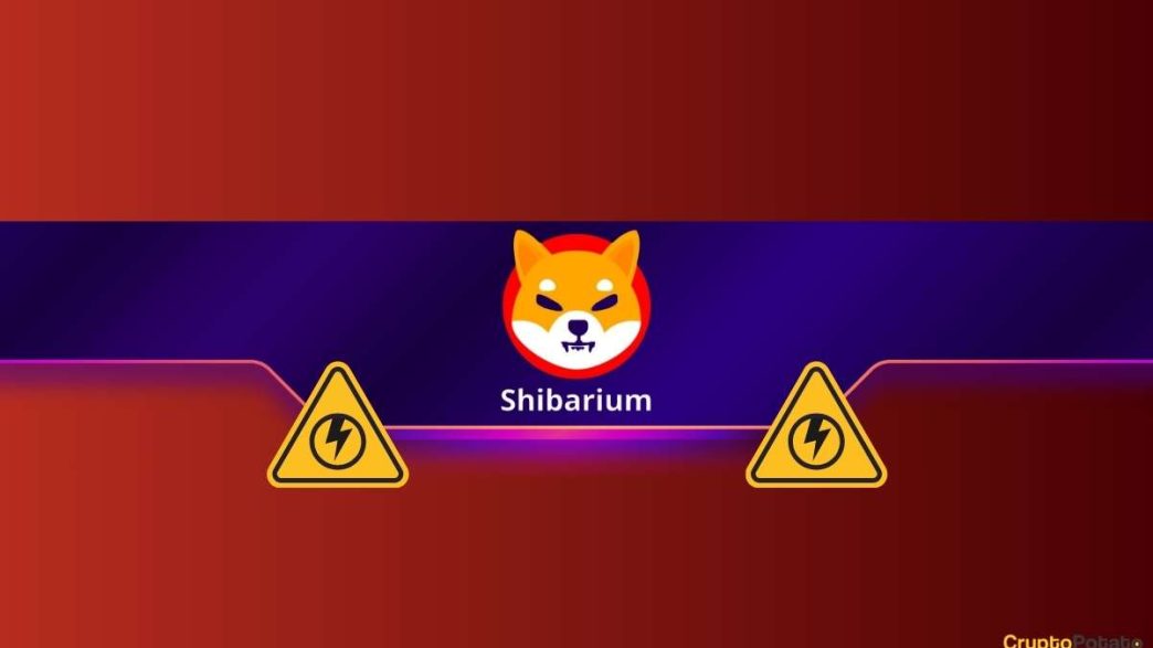 Critical Warning by the Shiba Inu (SHIB) Team: Be Careful