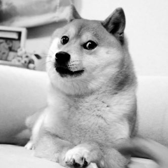 Is Dogecoin Headed For A 40% Slide? This Analyst Thinks So