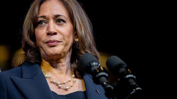 Kamala Harris Campaign Showing 'Concerted Effort' to Understand Crypto: Circle CEO