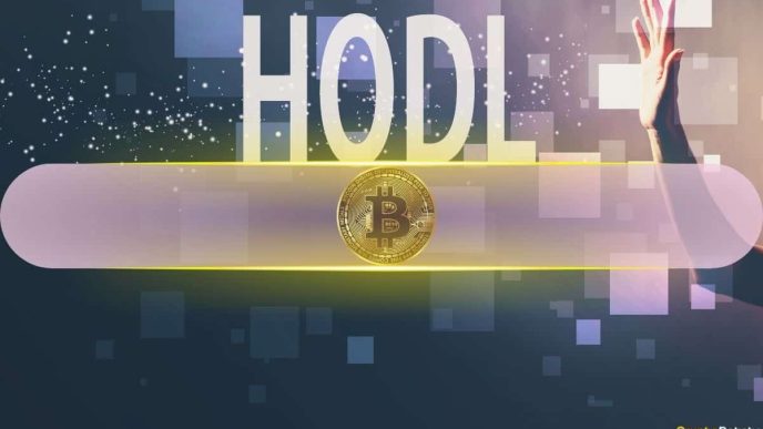 Investor Sentiment Uncertain, Yet Bitcoin's HODLing Trends Resurface During Market Decline