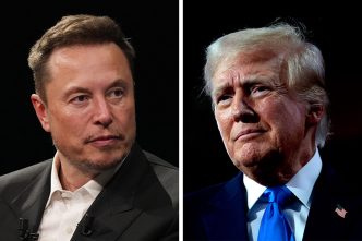 Donald Trump Wants to Make Elon Musk Head of 'Government Efficiency Commission'