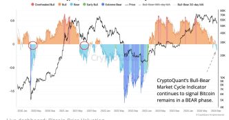 BTC/Gold correlation (CryptoQuant)