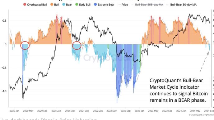 BTC/Gold correlation (CryptoQuant)