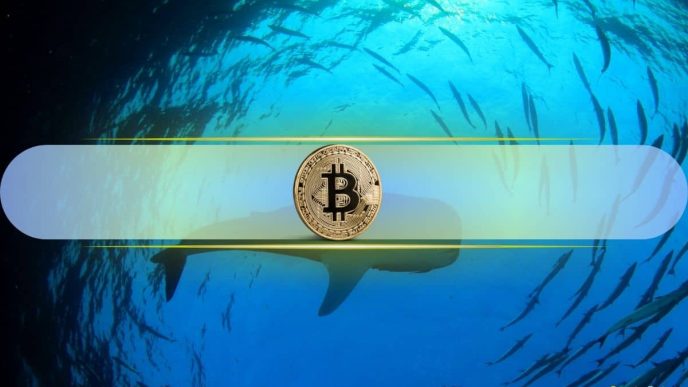 Bitcoin Whales Signal Confidence as Net Inflows Remain Positive