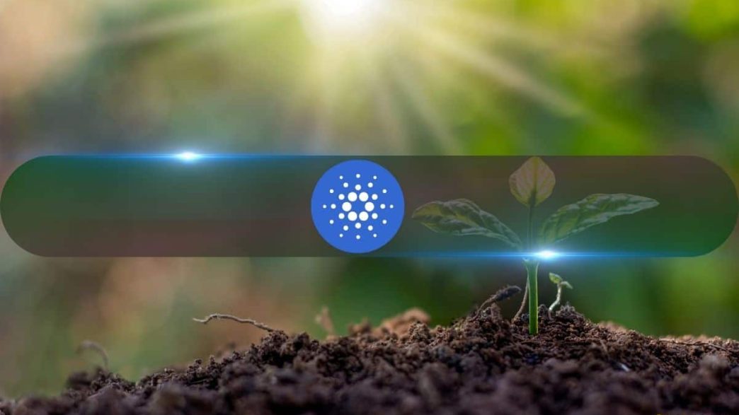 Could ADA Be 2024’s Solana (SOL) After Cardano Chang Upgrade?