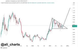 Altcoin Market Cap