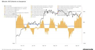 Bitcoin: All Cohorts vs Issuance (Glassnode)