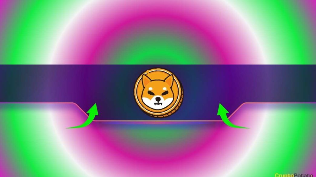 Key Shibarium Indicator Soars by 70% as the Shiba Inu (SHIB) Price Flashes Green: Details