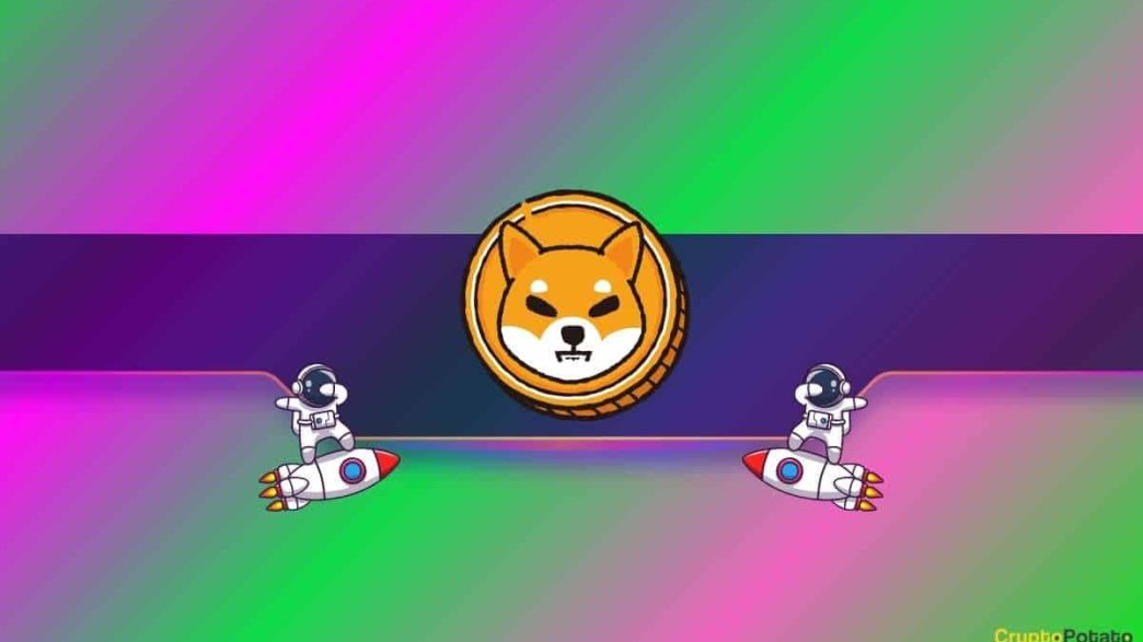 Is This Why Shiba Inu's (SHIB) Price Soared 23% Daily? (Details)