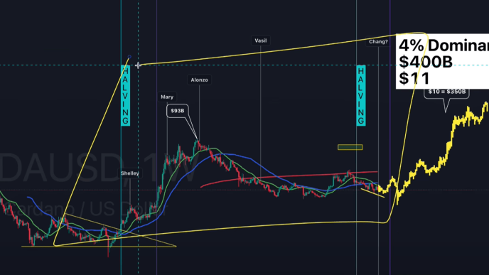 Cardano super cycle prediction