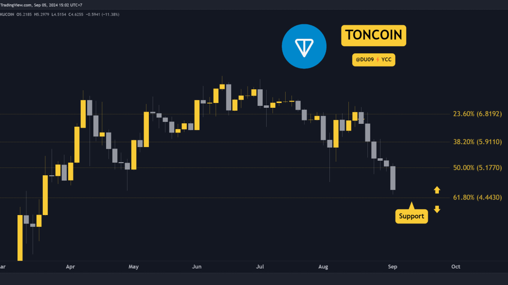 Why Did Toncoin Plummet 18% This Week and What's Next?