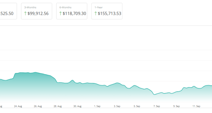 Bitcoin On Track For $92,000 'Bounce' In 3 Months: Analyst