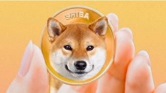 Why A Leading Investor Is Still Very Bullish On Shiba Inu, Even Amid Declines