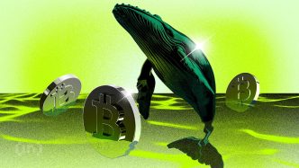 Bitcoin Whales Are Buying While Everyone Is Panicking