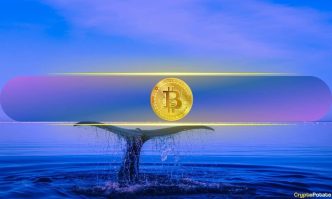 Does Bitcoin's Rising Whale Wallets and Hash Rate Signal Calm Before the Storm?