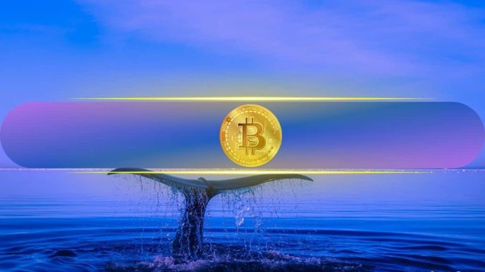 Does Bitcoin's Rising Whale Wallets and Hash Rate Signal Calm Before the Storm?