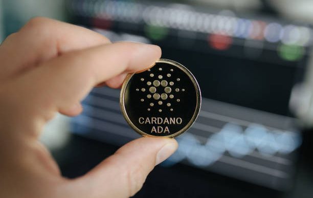 Cardano