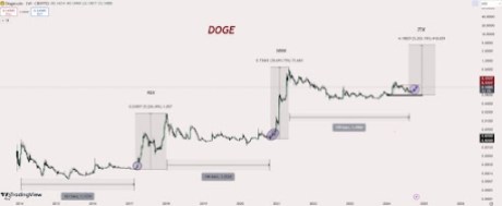 Dogecoin price