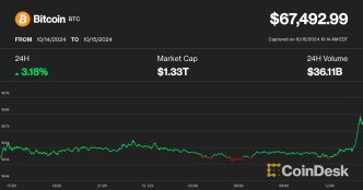 Polymarket odds for POTUS victory (Polymarket)