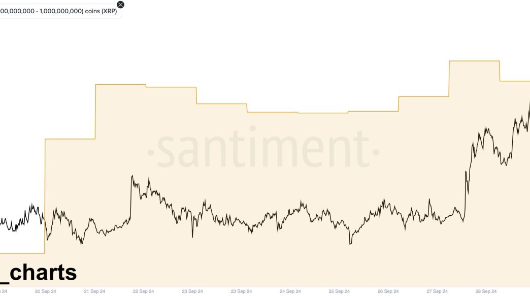 XRP Whales