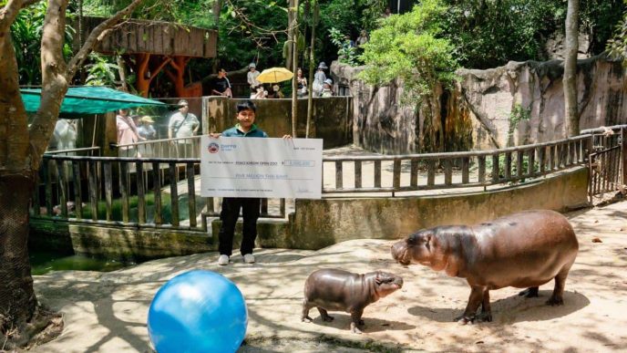 SUI Meme $HIPPO Enters into Charity Partnership with Moo Deng’s zoo