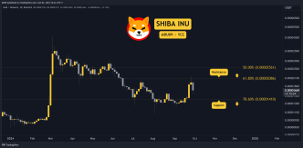 The Reason Behind Shiba Inu (SHIB) Price Plummet Today: Analysis