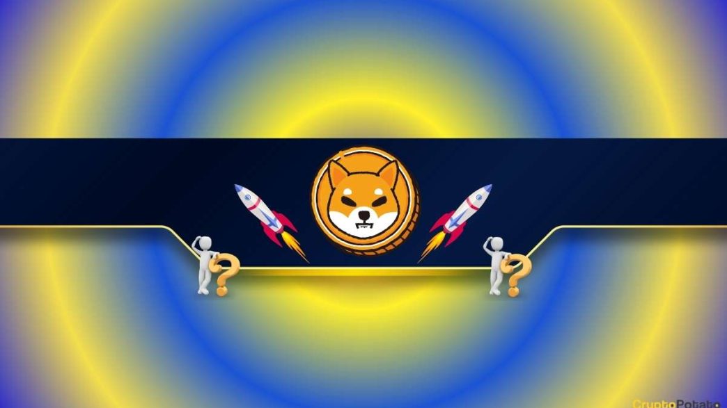 Massive Shiba Inu (SHIB) Price Prediction With a Big Bet Riding on it