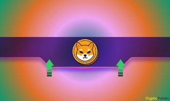 Why Is the Shiba Inu (SHIB) Price Up Today?