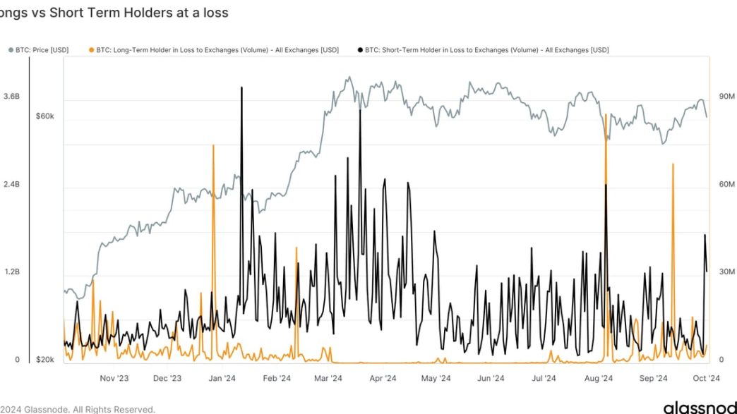 Bitcoin Daily Price Performance (Glassnode)