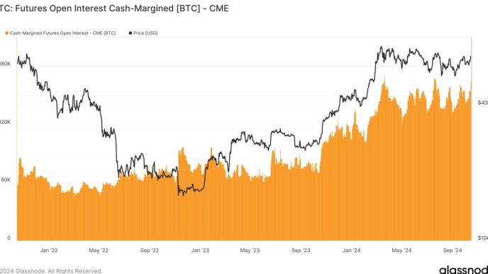 Cash vs Crypto Margin (Glassnode)