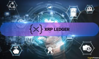 Here’s How XRP Ledger Has Performed On-Chain Over the Past Month