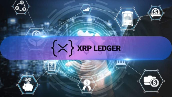 Here’s How XRP Ledger Has Performed On-Chain Over the Past Month