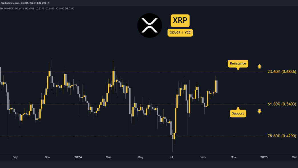 Ripple After the Crash: What’s Next for the XRP Price?