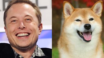 Dogecoin Pumps Following Elon Musk 'D.O.G.E.' Tweet