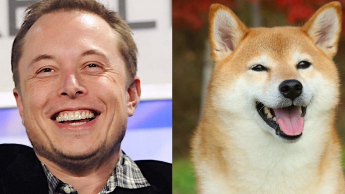 Dogecoin Pumps Following Elon Musk 'D.O.G.E.' Tweet