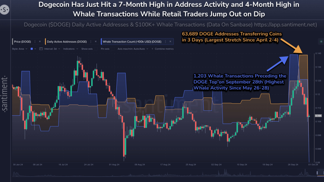 Dogecoin whale activity