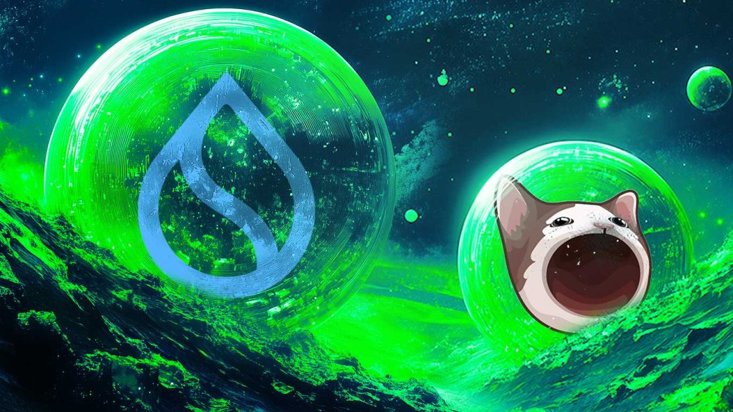 Top Analyst Says One Memecoin About To Go ‘Mental,’ Updates Forecast on SUI and POPCAT