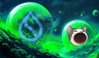 Top Analyst Says One Memecoin About To Go ‘Mental,’ Updates Forecast on SUI and POPCAT