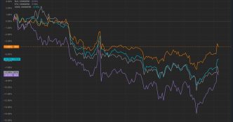 Market cap of tokens excluding the top 10 largest (OTHERS) tumbled to fresh lows in early November vs. a bitcoin's market cap (TradingView)