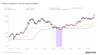 BTC: Long/Short Term On-Chain Cost Basis (Glassnode)